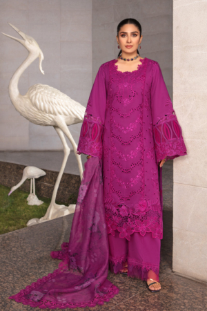Rang Rasiya Embroidered Lawn Suits Unstitched 3 Piece RR24PE D-11 Zubiya-