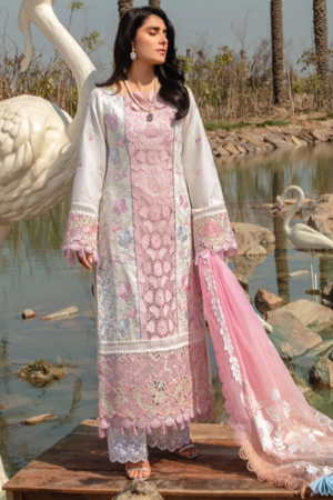 Rang Rasiya Embroidered Lawn Suits Unstitched 3 Piece RR24PE D-12 Hoorain - Summer Eid Collection-