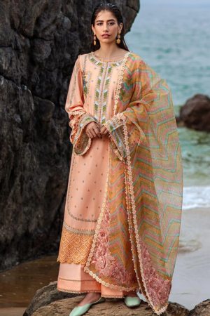 Mohsin Naveed Ranjha Embroidered Lawn Suits Unstitched 3 Piece MNR24DS MFL-018 Rani - Summer Collection-
