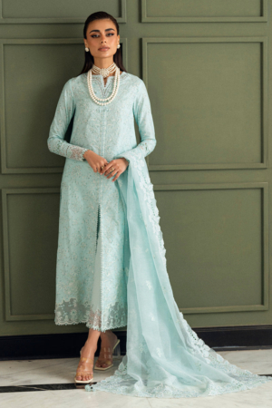 Qalamkar Chikankari Lawn Suit Unstitched 3 Piece QLM25CE CS-06 Neesha - Summer Collection