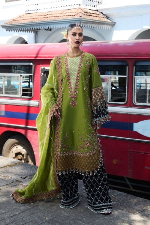Hussain Rehar Embroidered Lawn Suit Unstitched 3 Piece HRR25LL D-01 Abass - Summer Collection