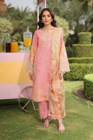 Lifestyle by Rang Rasiya Embroidered Lawn Suits Unstitched 3 Piece RR25V07SL D-12 Vaneeza - Summer Collection