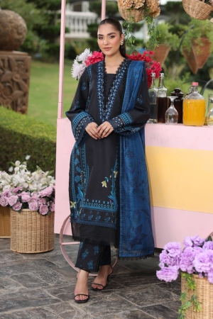 Lifestyle by Rang Rasiya Embroidered Lawn Suits Unstitched 3 Piece RR25V07SL D-10 Ushna - Summer Collection
