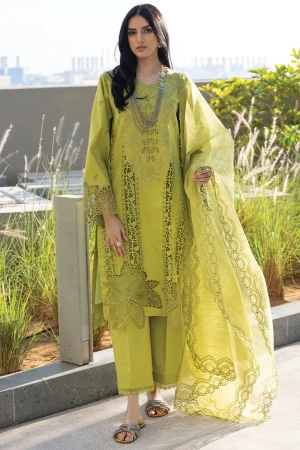 Carnation by Rang Rasiya Embroidered Lawn Suits Unstitched 3 Piece RR25CS D-02 Aaleen - Summer Collection