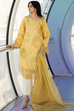 Carnation by Rang Rasiya Embroidered Lawn Suits Unstitched 3 Piece RR25CS D-03 Liana - Summer Collection