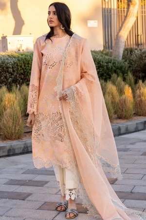 Carnation by Rang Rasiya Embroidered Lawn Suits Unstitched 3 Piece RR25CS D-04 Zinnia - Summer Collection