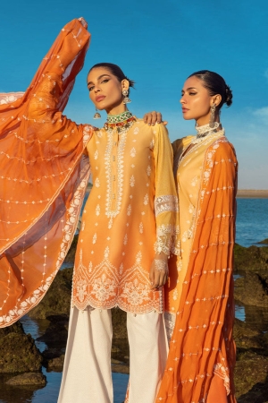 Zainab Chottani Chikankari Lawn Suits Unstitched 3 Piece ZC24CL D-8B Afsana - Summer Collection-