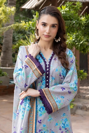 Salina Luxury Khaddar Prints 3Pc Unstitched Collection'25 - SKPCH-2-25-09