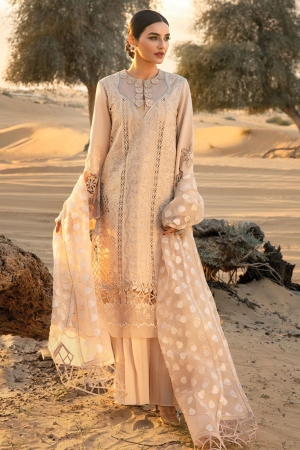 Rang Rasiya Embroidered Lawn Suits Unstitched 3 Piece RR24PS D-03 Elaheh - Summer Collection