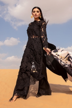 Rang Rasiya Embroidered Lawn Suits Unstitched 3 Piece RR24PS D-04 Alaya - Summer Collection