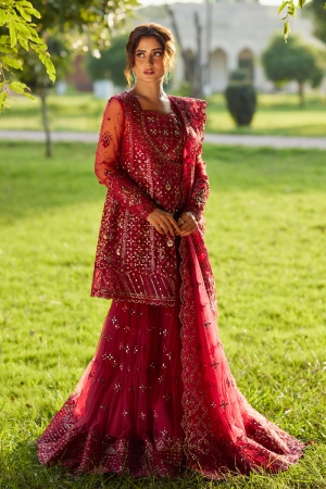 Shadmani by Qalamkar Embroidered Net Suits Unstitched 4 Piece QLM24SM Nurah - Formals Collection