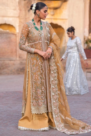 Dastangoi By Afrozeh Embroidered Suits Unstitched 3 Piece AF23DG AWE-23-V1-09 Shafaq - Wedding Collection