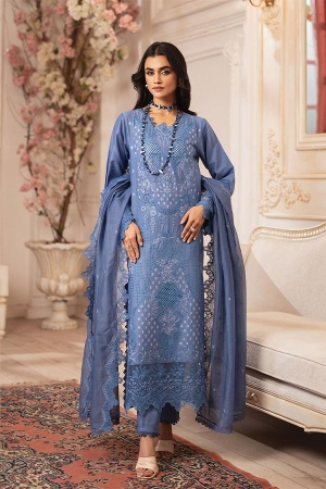 Nisa by RajBari Chikankari Embroidered Lawn Suits Unstitched 3 Piece RB25A D-11 - Summer Collection