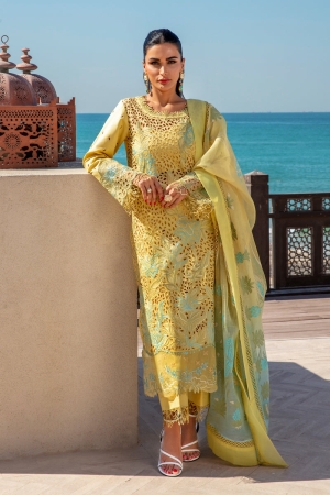 Rang Rasiya Embroidered Lawn Suits Unstitched 3 Piece RR25PS D-05 Minaal - Summer Collection