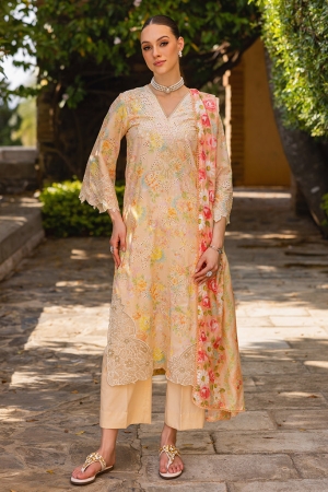 Nisa by RajBari Chikankari Embroidered Lawn Suits Unstitched 3 Piece RB25A D-05 - Summer Collection
