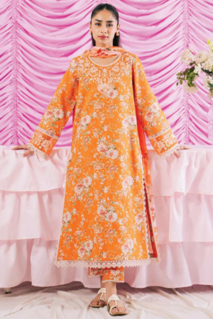 Rinesa By Ayzel Embroidered Lawn Suit Unstitched 3 Piece AAF24R D-02 Eli - Summer Collection