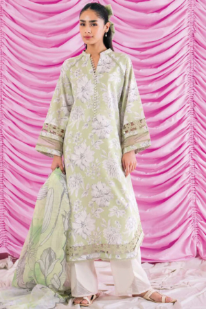 Rinesa By Ayzel Embroidered Lawn Suit Unstitched 3 Piece AAF24R D-11 Erin - Summer Collection