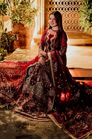 Sardinia Wedding Embroidered Organza Suit Unstitched 3 Piece SRD24B 605 Aalam Zeb - Formal Collection