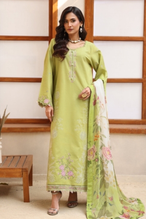Raaya by Rang Rasiya Embroidered Lawn Suits Unstitched 3 Piece RY22CL DAISY - Summer Collection