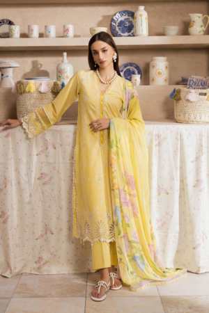 Nissa by Rajbari Unstitched Chikankari Embroidered Lawn 3 Piece Suit RB26UNCL D-3 - Summer Collection