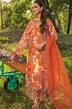Carnation By Rang Rasiya Embroidered Lawn Suit Unstitched 3 Piece RR24CF D-06 Coco - Summer Collection