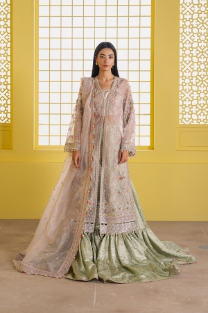 Solaris by Ayzel Unstitched Formals Organza Suits 3 Piece AAF25SW Solyn - Wedding Collection