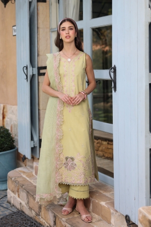 Raaya by Rang Rasiya Luxury Embroidered Lawn Suits Unstitched 3 Piece RY26CL RL#10 - Emily - Summer Collection