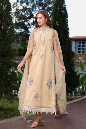 Raaya by Rang Rasiya Luxury Embroidered Lawn Suits Unstitched 3 Piece RY26CL RL#08 - AUDREY - Summer Collection